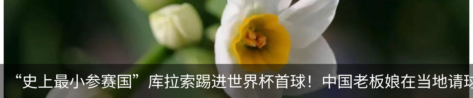 资讯动态